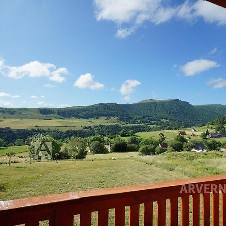Chalet de Solene Chambon-sur-Lac Eksteriør billede