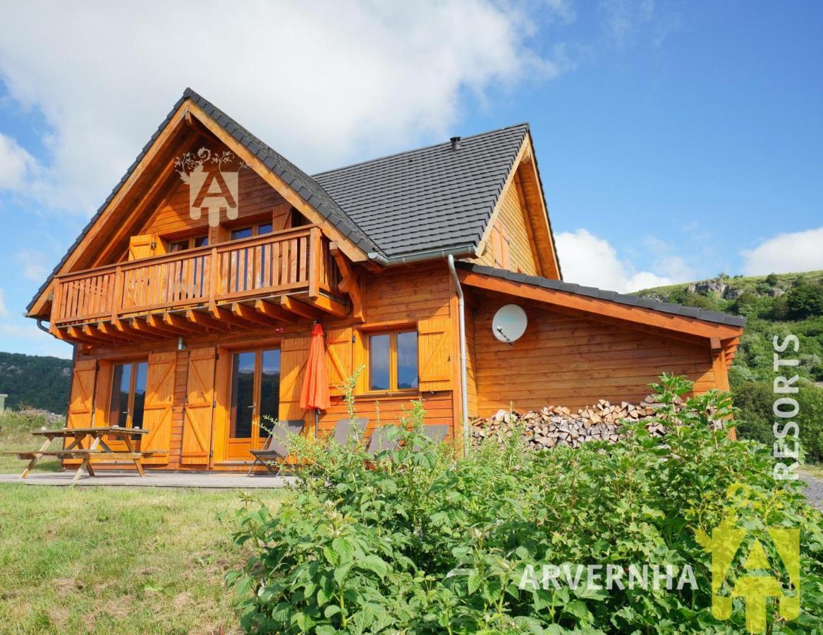 Chalet de Solene Chambon-sur-Lac Eksteriør billede
